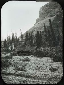 Image of Hill Back of Anetalak Scientific Station, Labrador